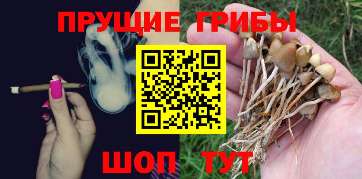 Самара  Галлюциногенные грибы MAGIC MUSHROOMS  Псилоцибиновые грибы ЛСД  Вход с VPN 
